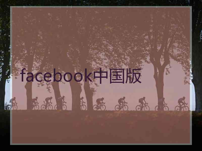 facebook中国版