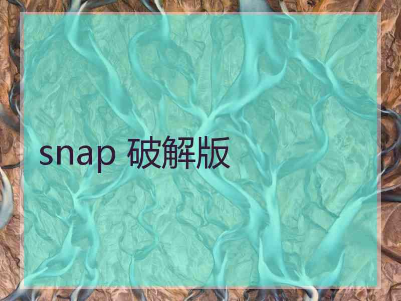 snap 破解版