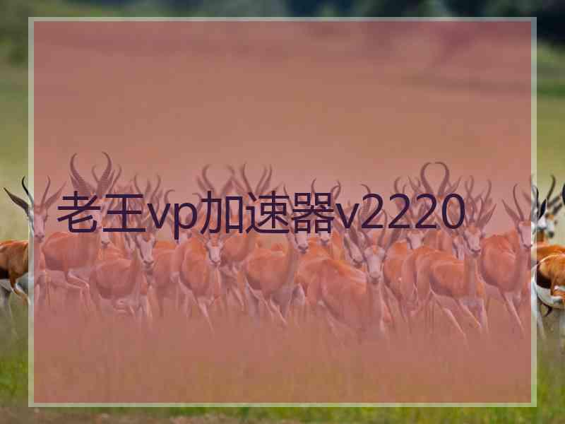 老王vp加速器v2220