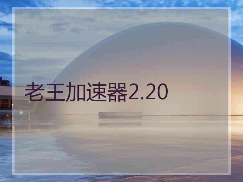 老王加速器2.20