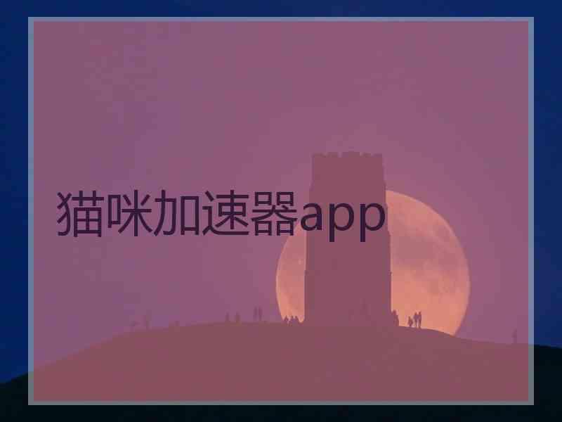 猫咪加速器app