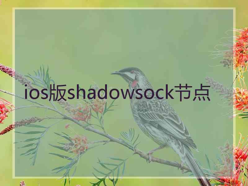 ios版shadowsock节点