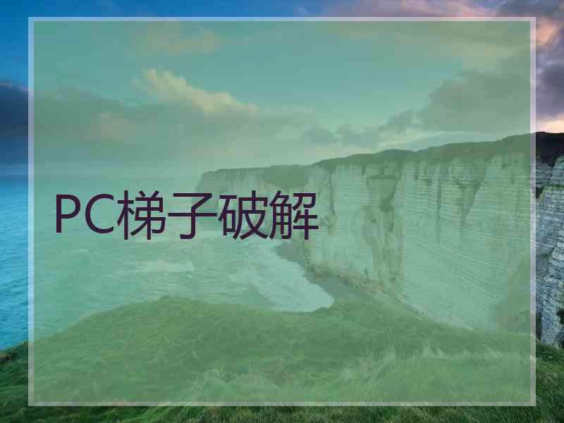 PC梯子破解