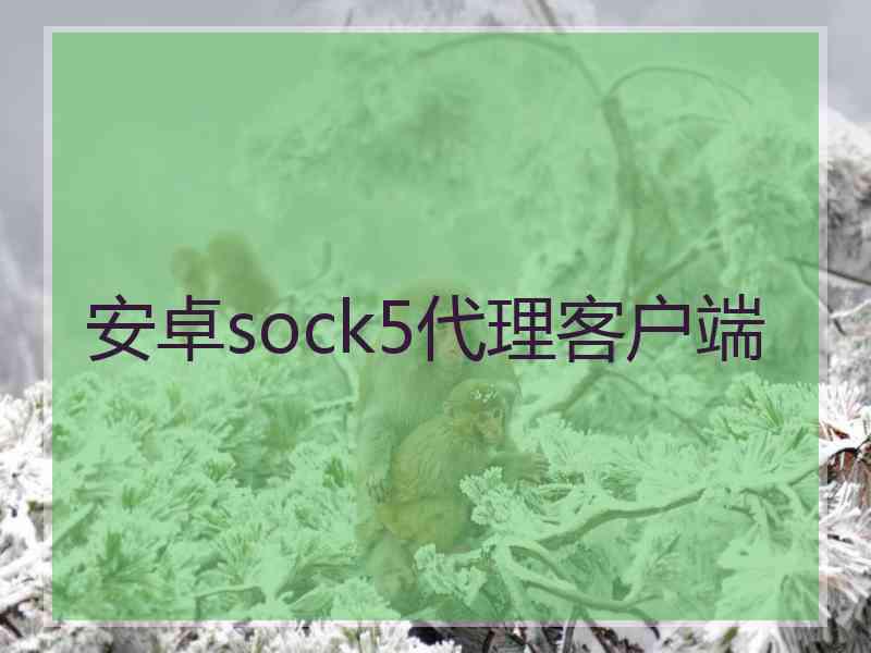 安卓sock5代理客户端