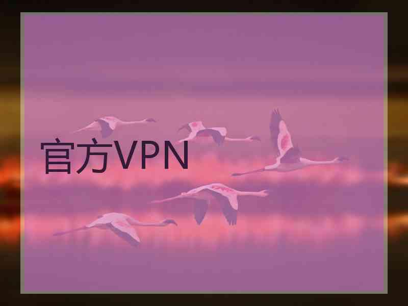 官方VPN