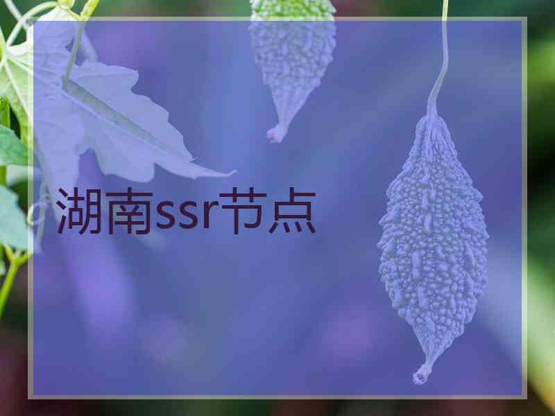 湖南ssr节点