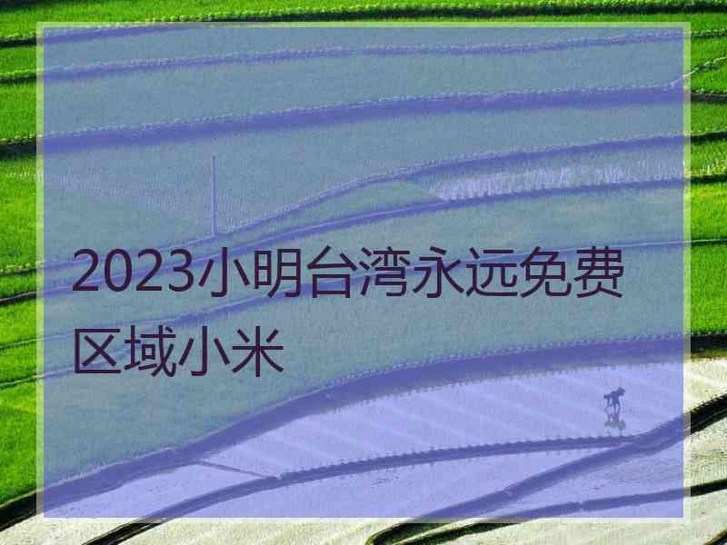 2023小明台湾永远免费区域小米