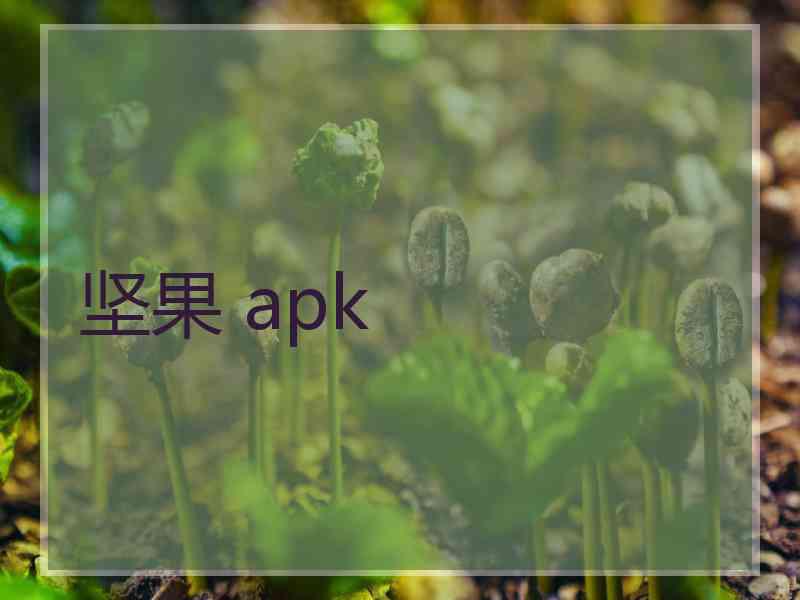 坚果 apk