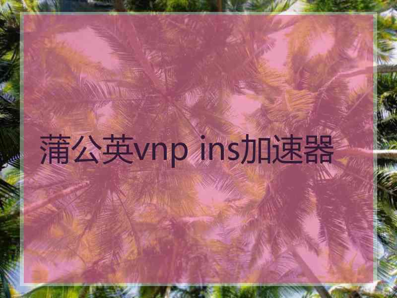 蒲公英vnp ins加速器