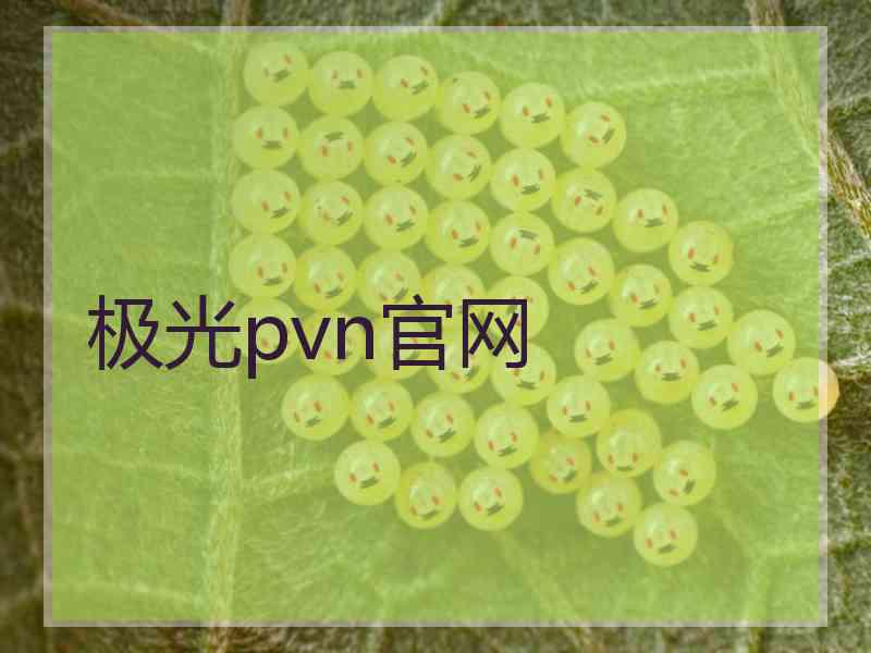 极光pvn官网