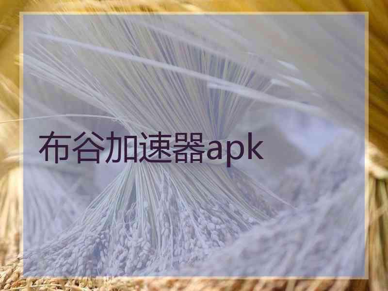 布谷加速器apk