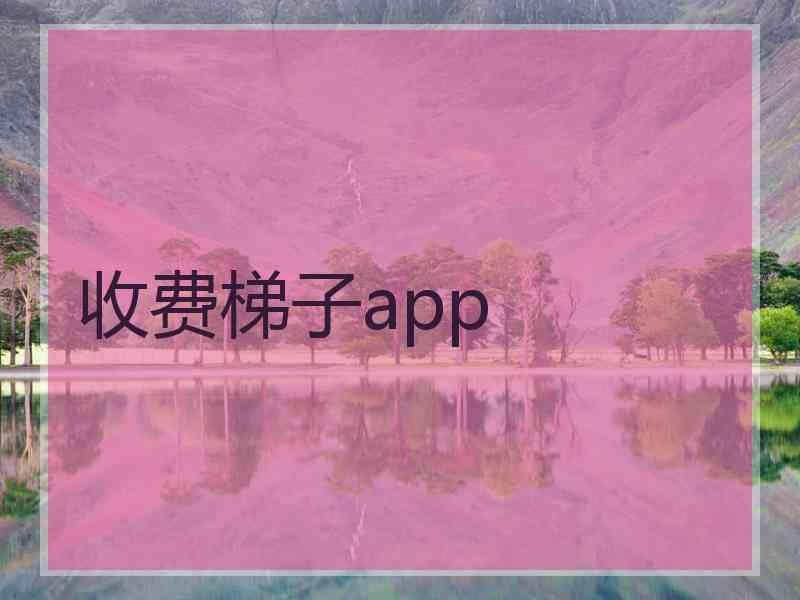 收费梯子app