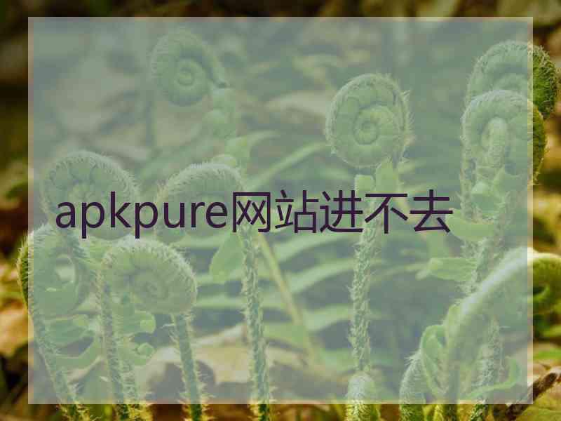 apkpure网站进不去