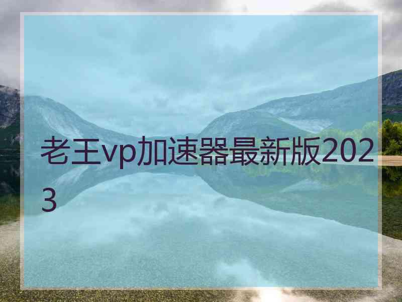 老王vp加速器最新版2023