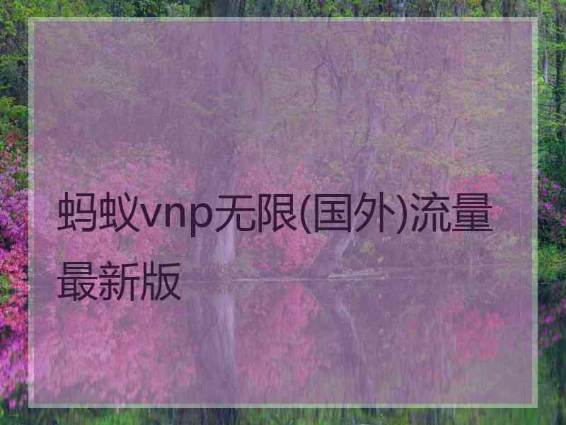 蚂蚁vnp无限(国外)流量最新版