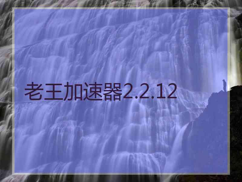 老王加速器2.2.12