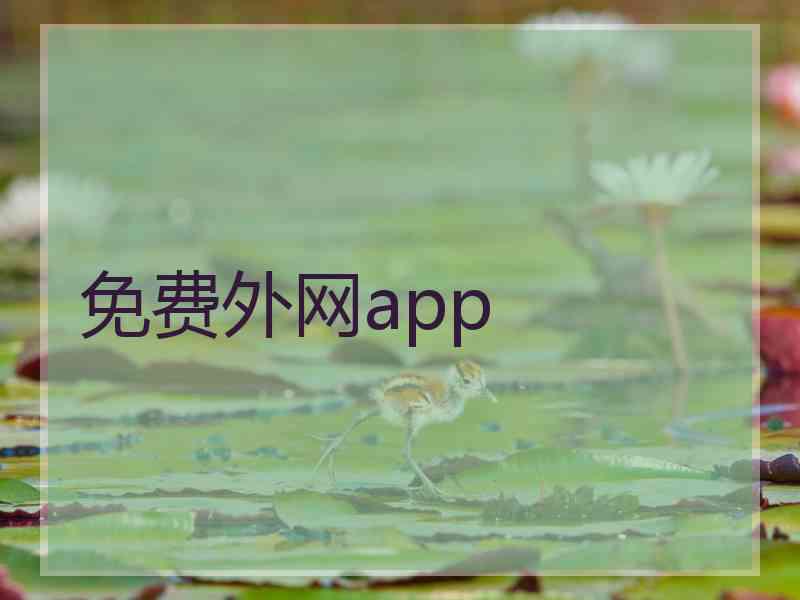 免费外网app