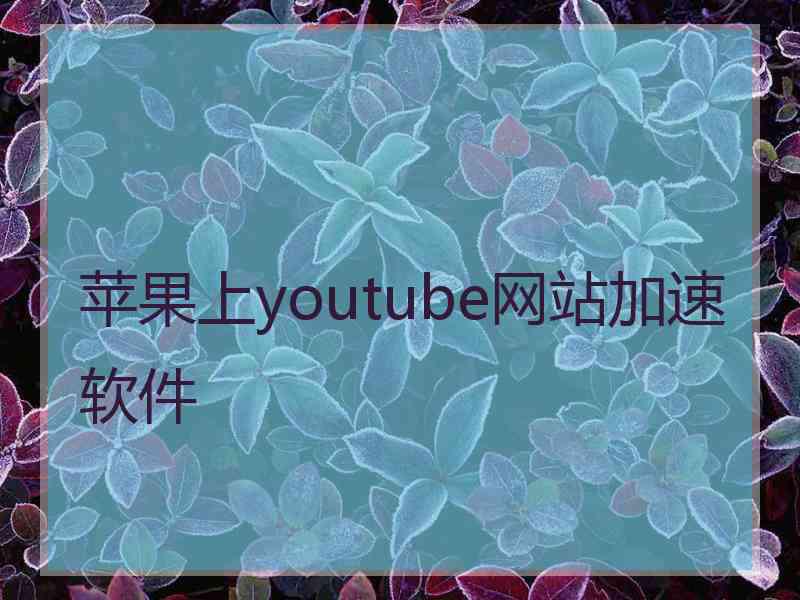 苹果上youtube网站加速软件