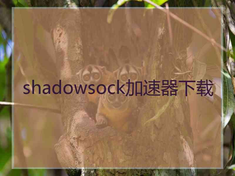 shadowsock加速器下载