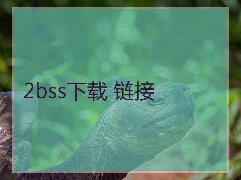 2bss下载 链接