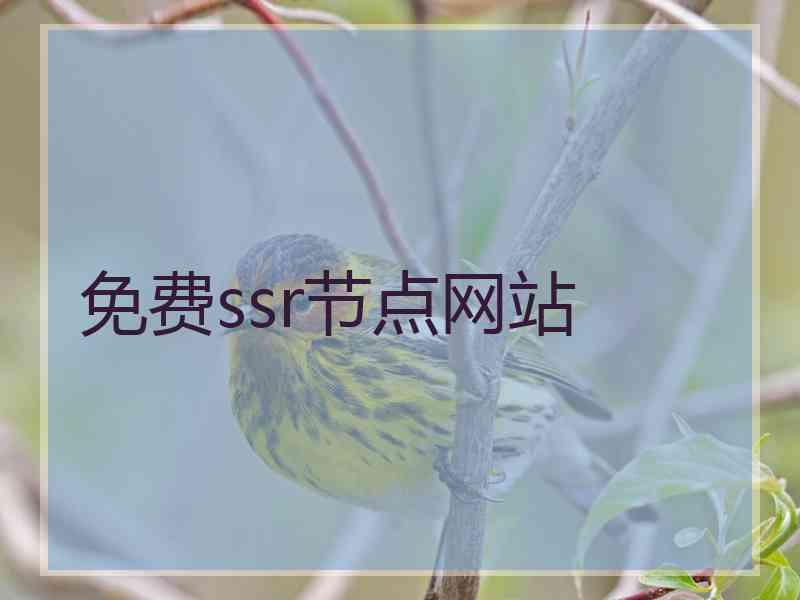 免费ssr节点网站