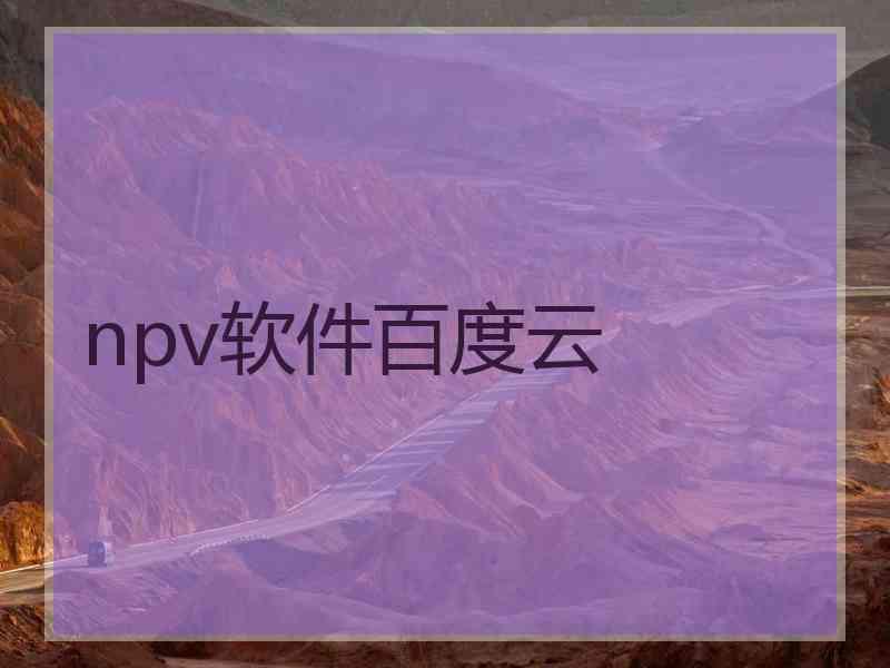 npv软件百度云