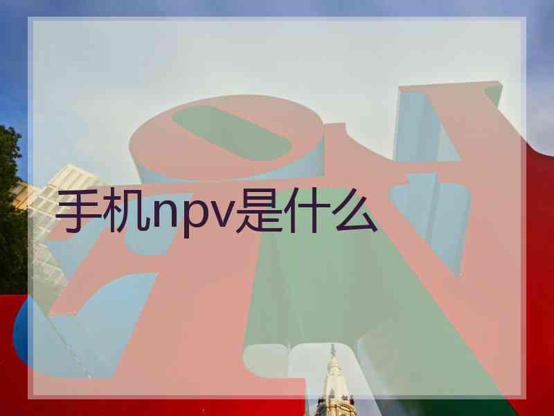 手机npv是什么