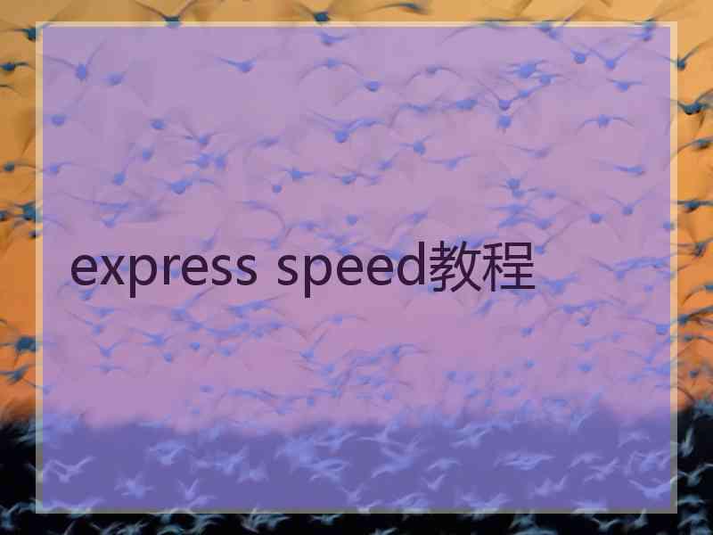 express speed教程