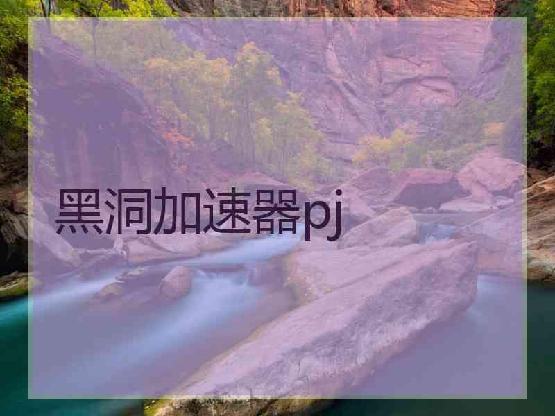 黑洞加速器pj