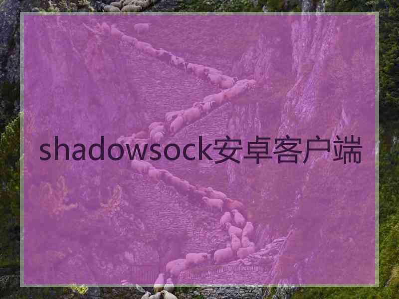 shadowsock安卓客户端