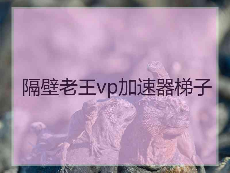 隔壁老王vp加速器梯子