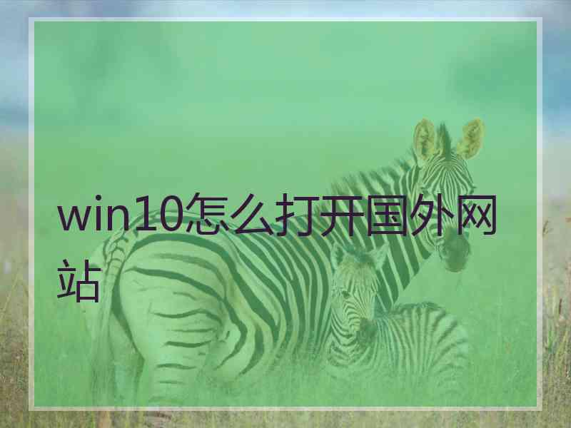 win10怎么打开国外网站