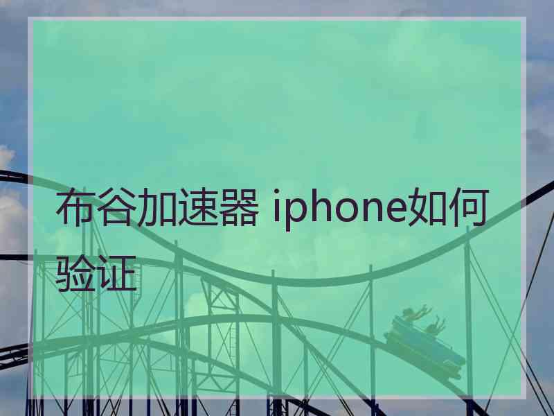 布谷加速器 iphone如何验证