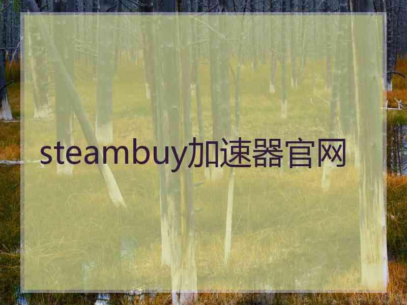 steambuy加速器官网