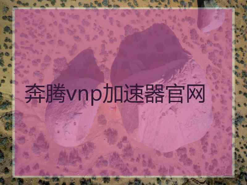 奔腾vnp加速器官网