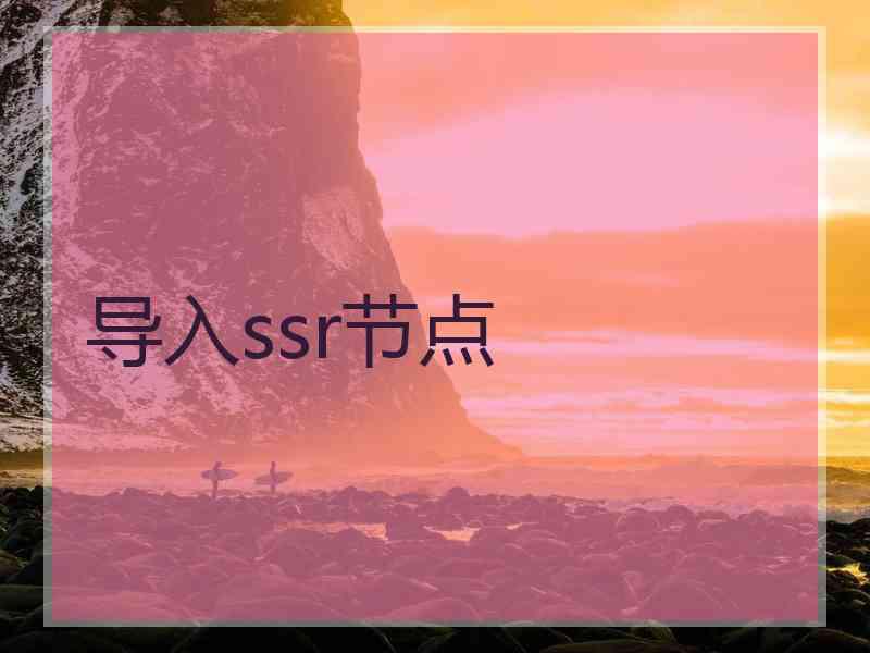 导入ssr节点