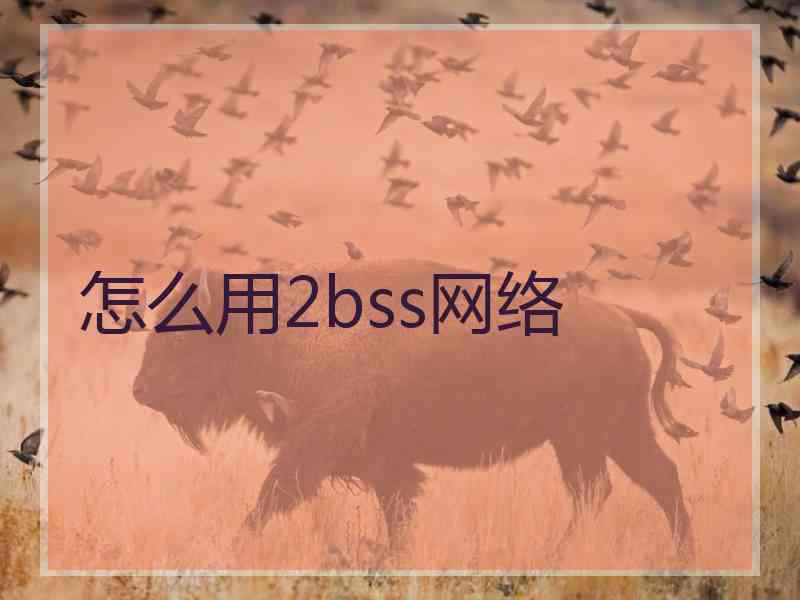 怎么用2bss网络