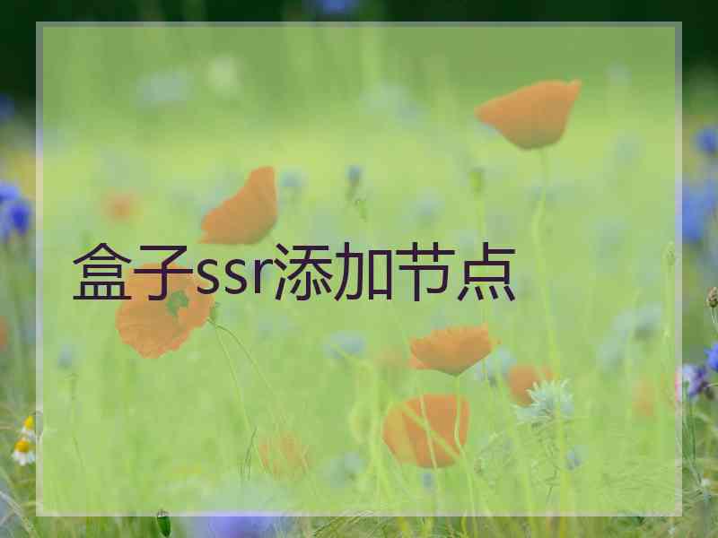 盒子ssr添加节点