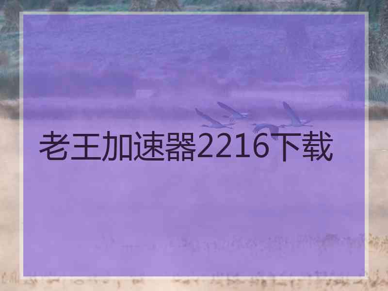 老王加速器2216下载