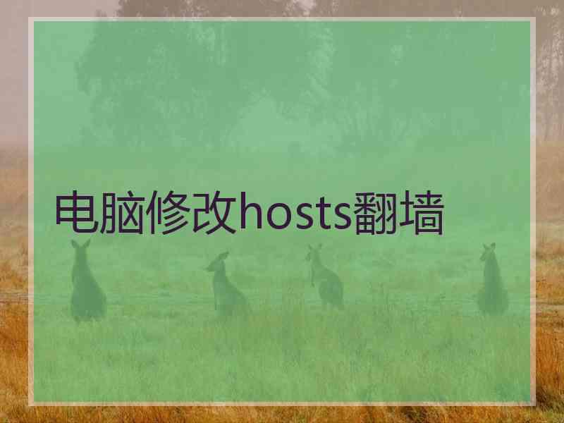 电脑修改hosts翻墙