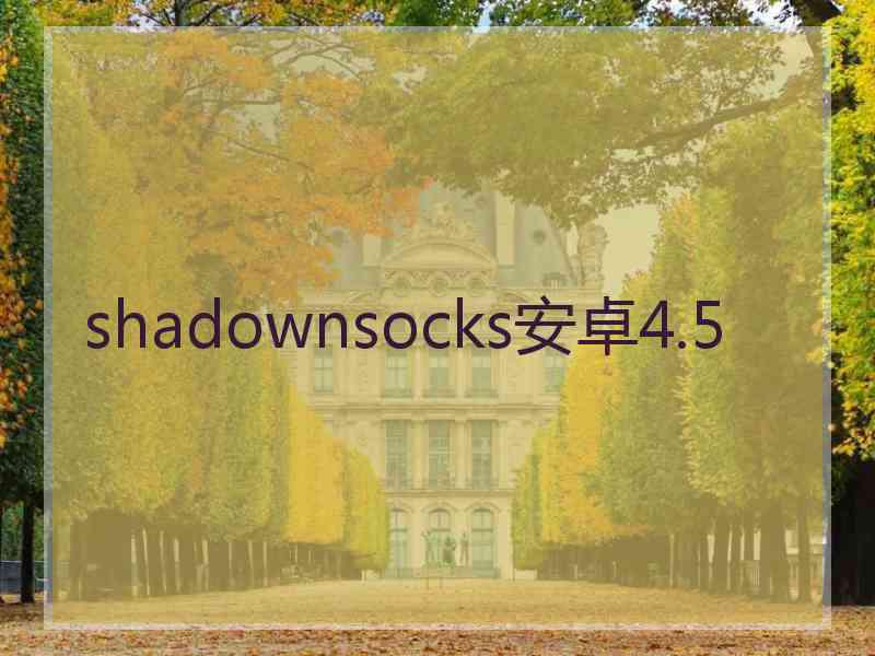 shadownsocks安卓4.5