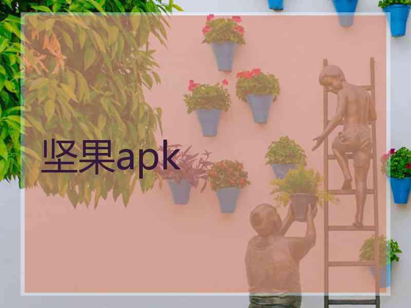 坚果apk