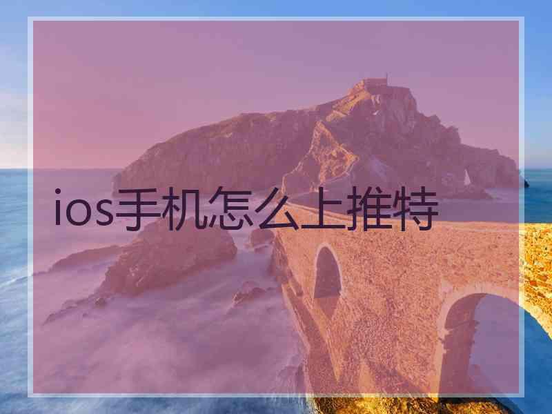 ios手机怎么上推特