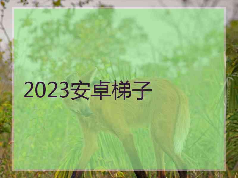 2023安卓梯子