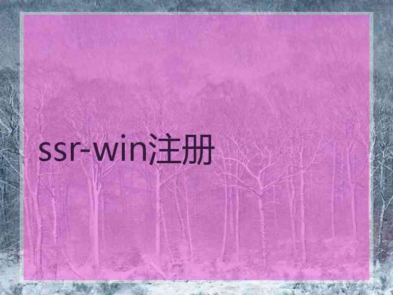 ssr-win注册