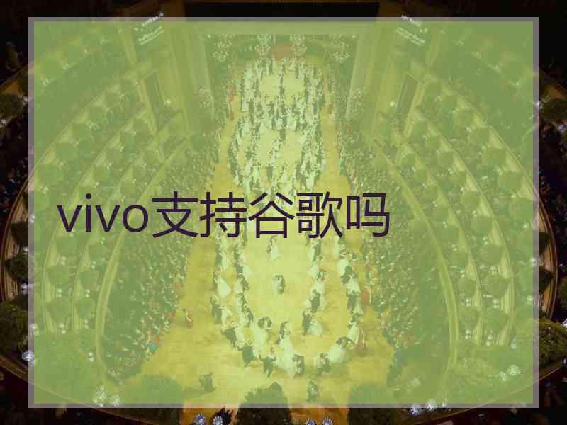 vivo支持谷歌吗