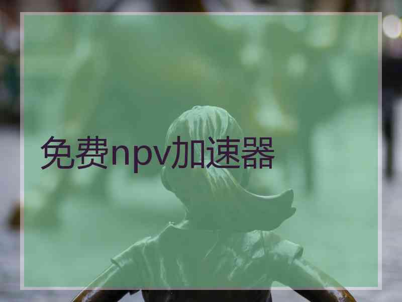 免费npv加速器