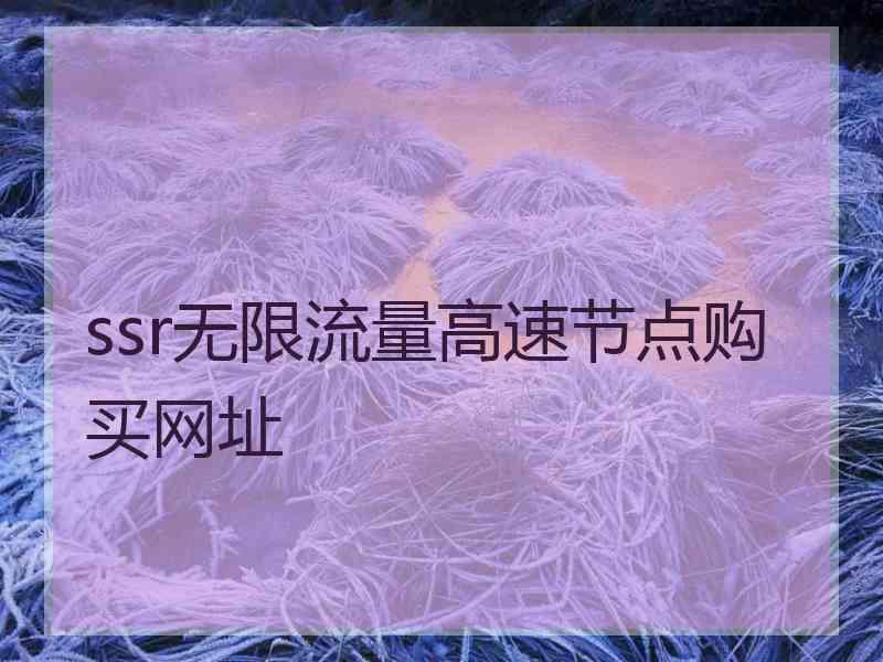 ssr无限流量高速节点购买网址