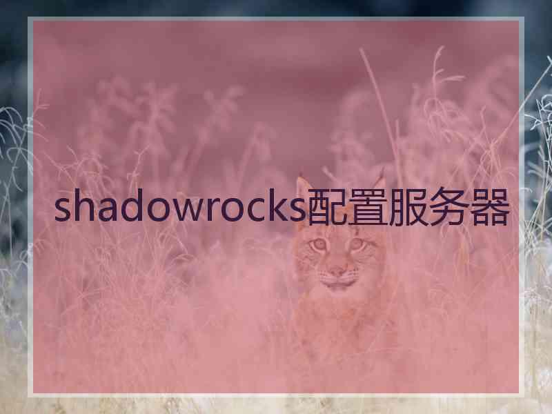 shadowrocks配置服务器