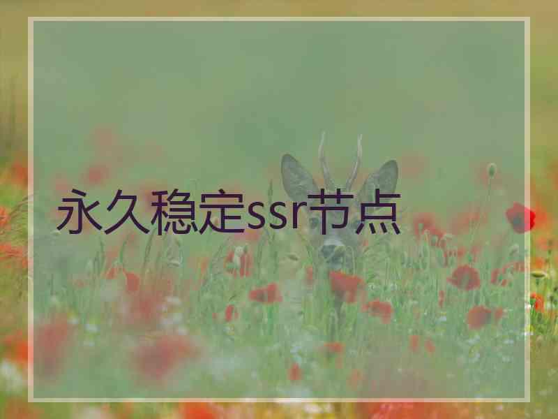 永久稳定ssr节点